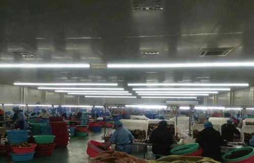 走進(jìn)百億工廠 那些年食品集團(tuán)如何用機(jī)械科技重塑生產(chǎn)版圖